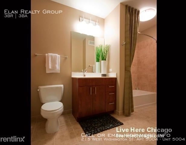 215 West Washington St. Apt 5004 - Photo 16