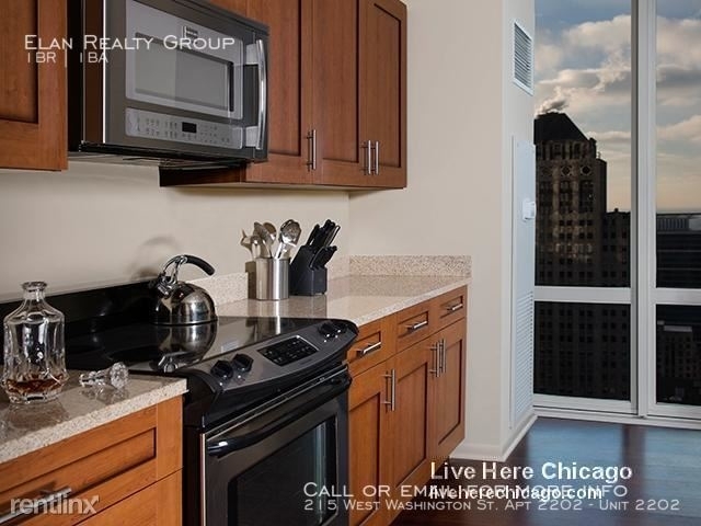 215 West Washington St. Apt 2202 - Photo 2