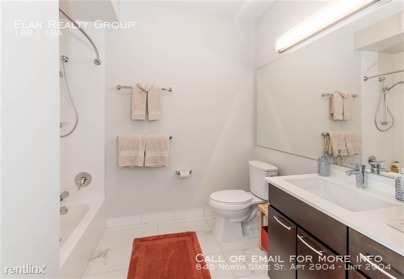 845 North State St. Apt 2904 - Photo 10