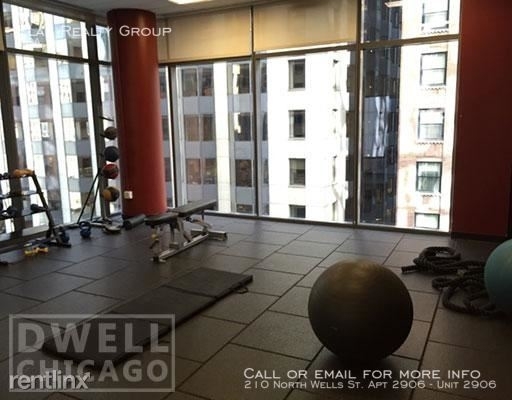 210 North Wells St. Apt 2906 - Photo 67