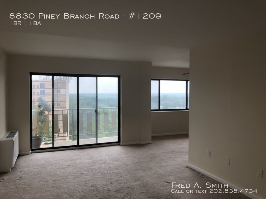 8830 Piney Branch Road - Photo 2