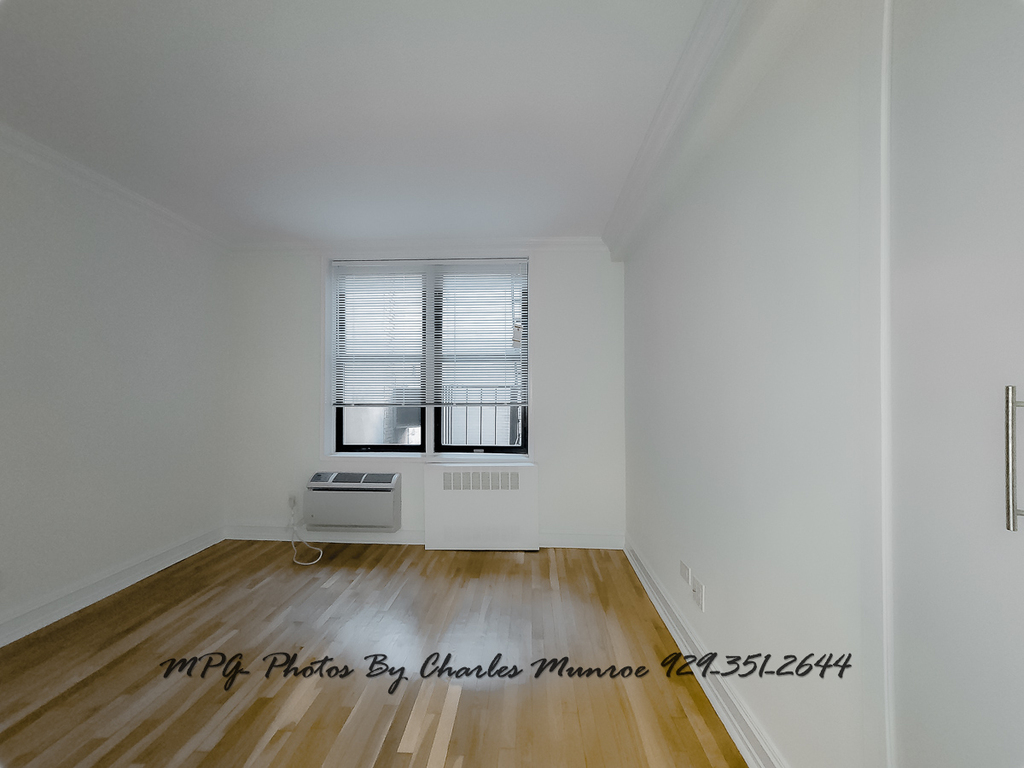 151 West 16th Street - Photo 5