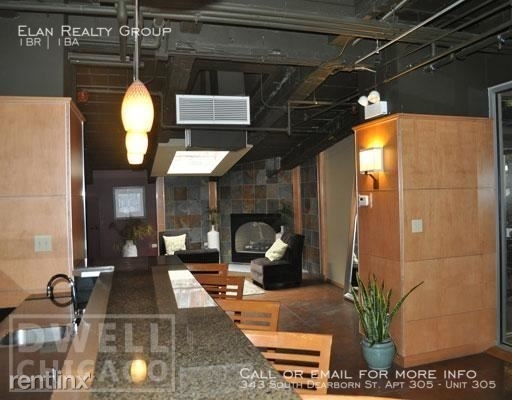 343 South Dearborn St. Apt 305 - Photo 41