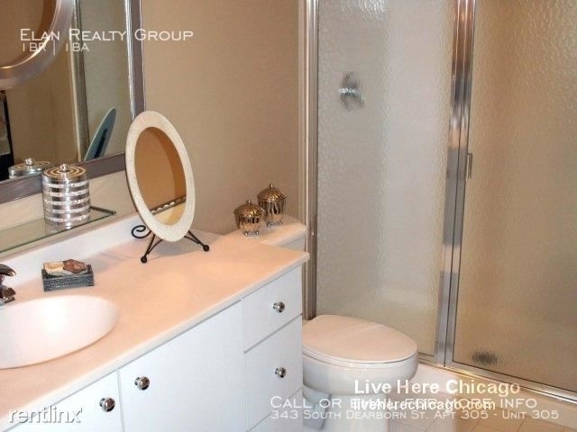 343 South Dearborn St. Apt 305 - Photo 78