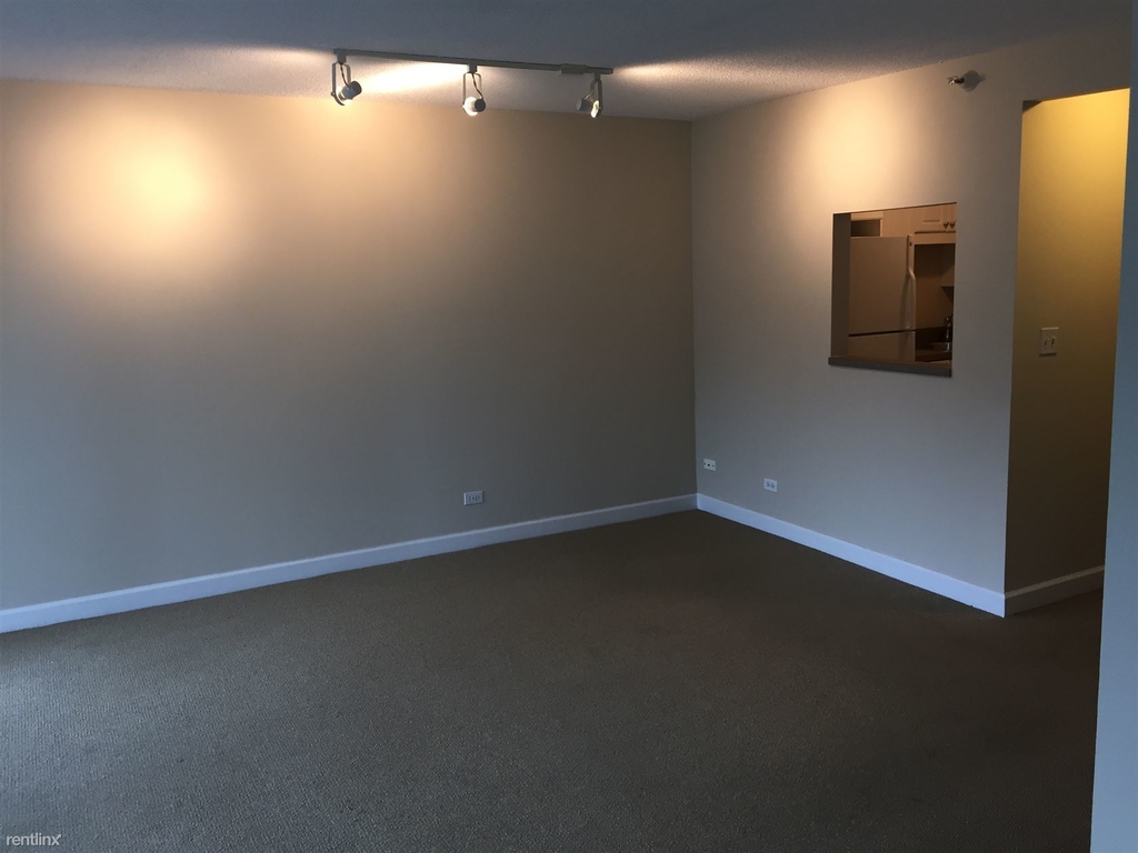 10 E Ontario St Apt 3406 - Photo 6