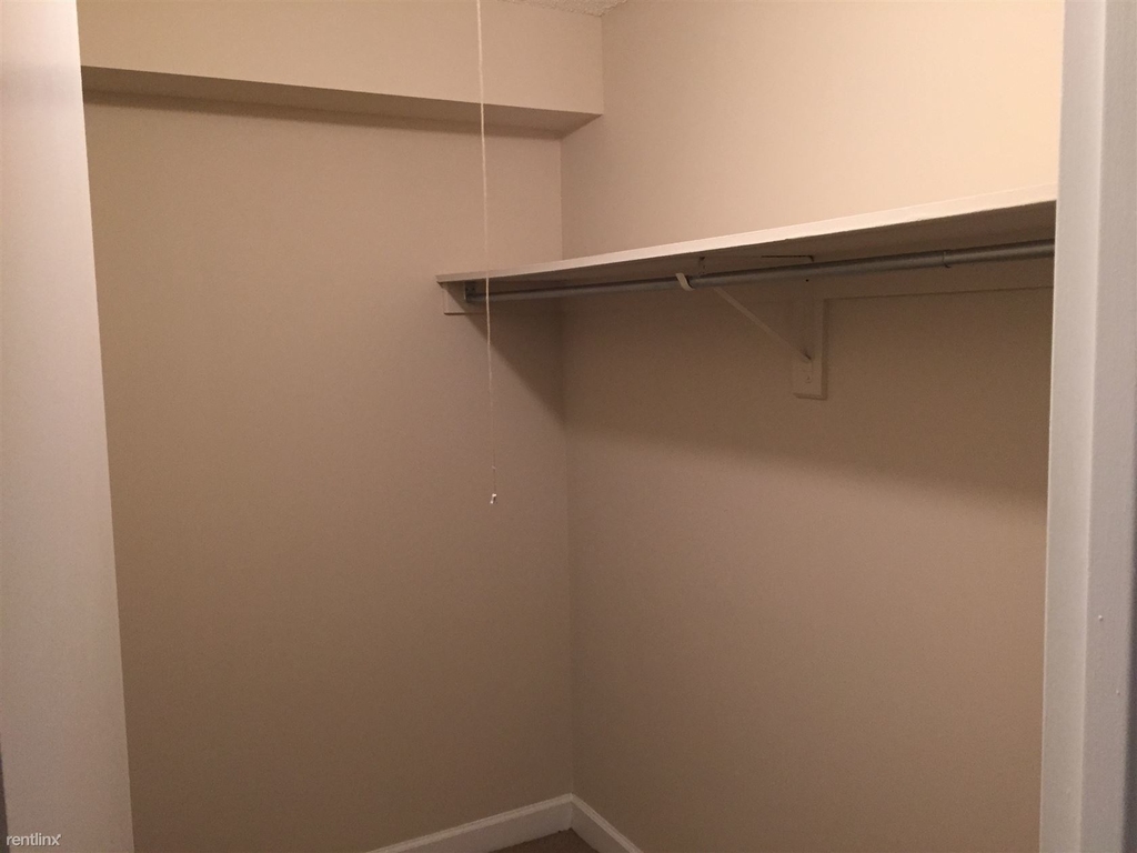 10 E Ontario St Apt 3406 - Photo 3