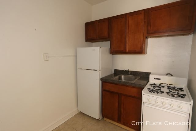 4829 N. Damen - Photo 1