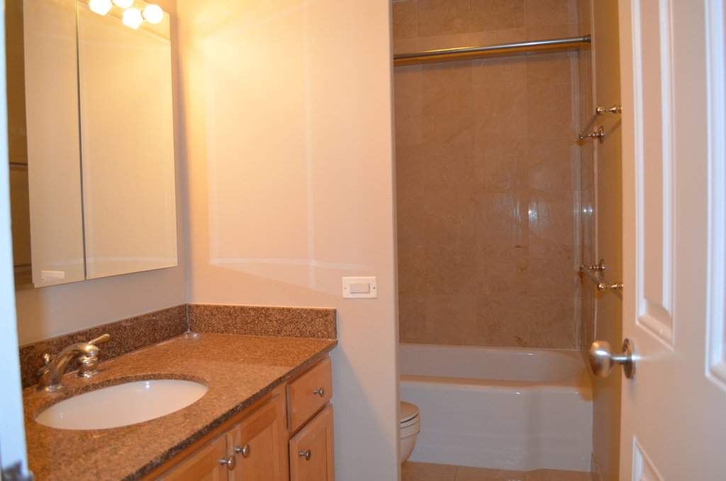 535 North Michigan Avenue - Photo 8