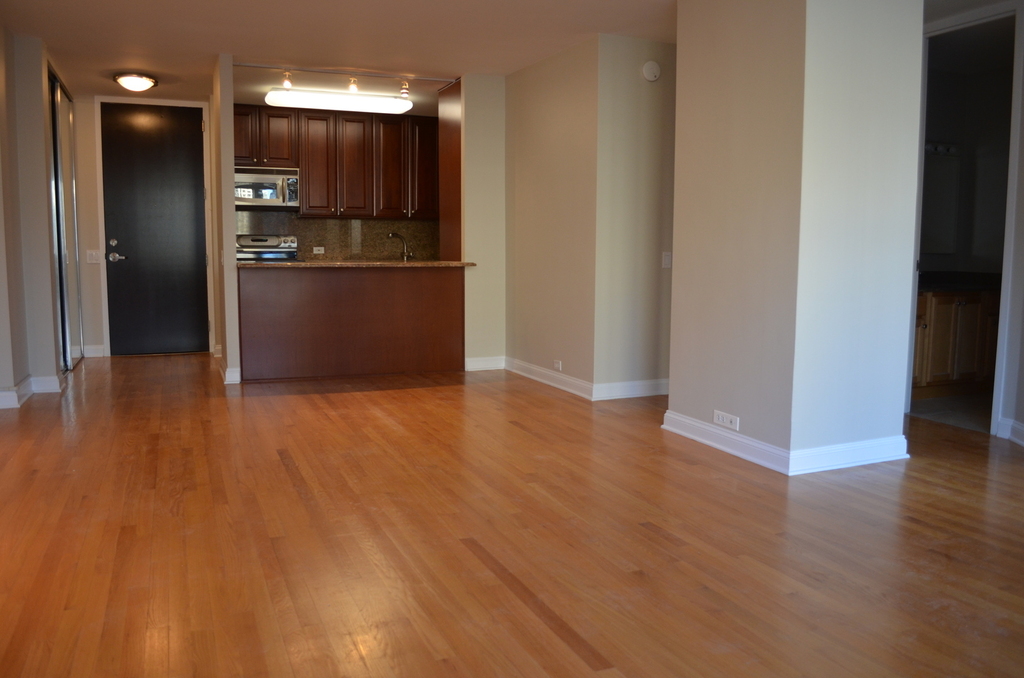 535 North Michigan Avenue - Photo 5