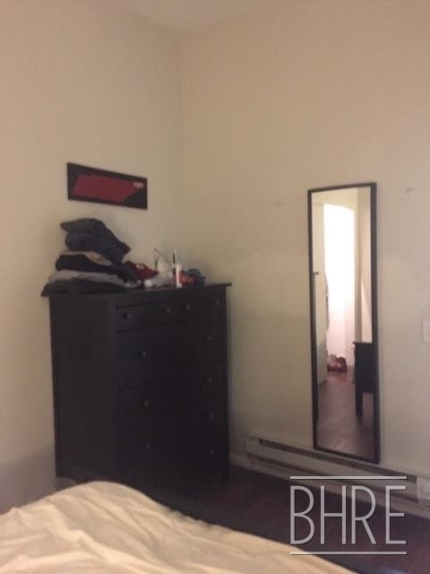 211 Clinton St. - Photo 10