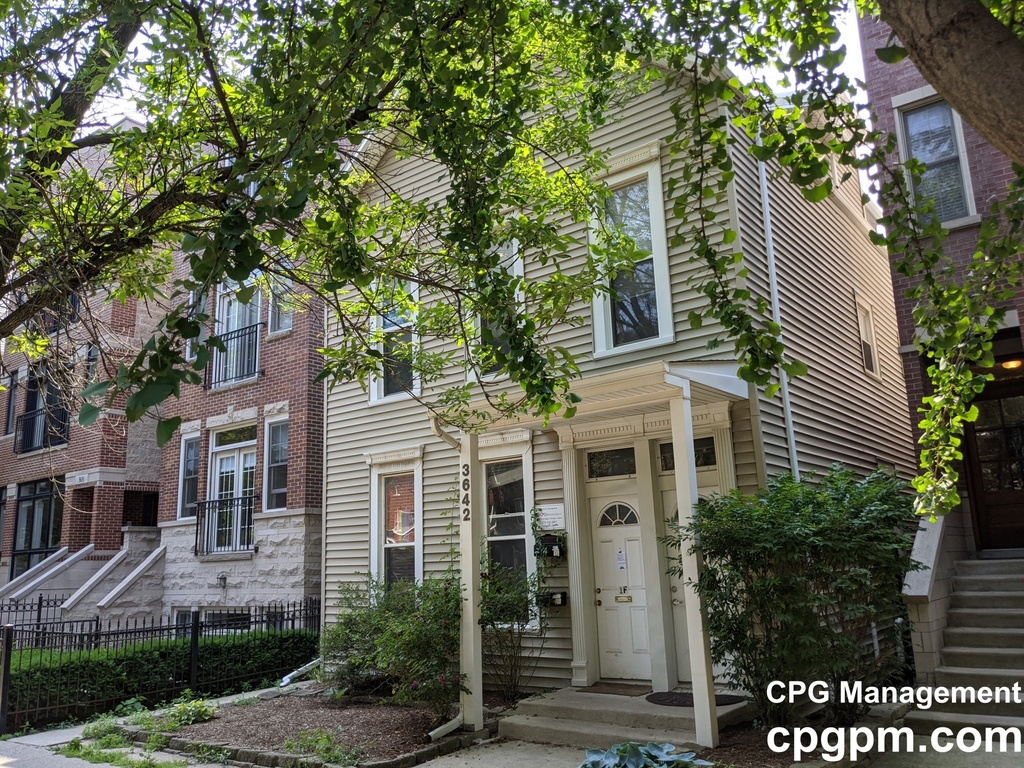 3642 Damen - Photo 10