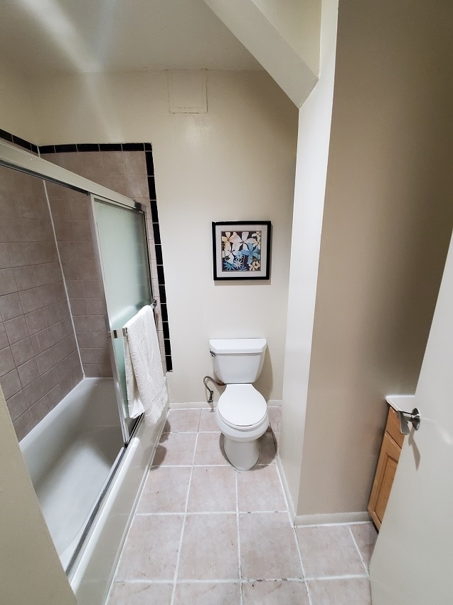 529 West 48th Street - Photo 4