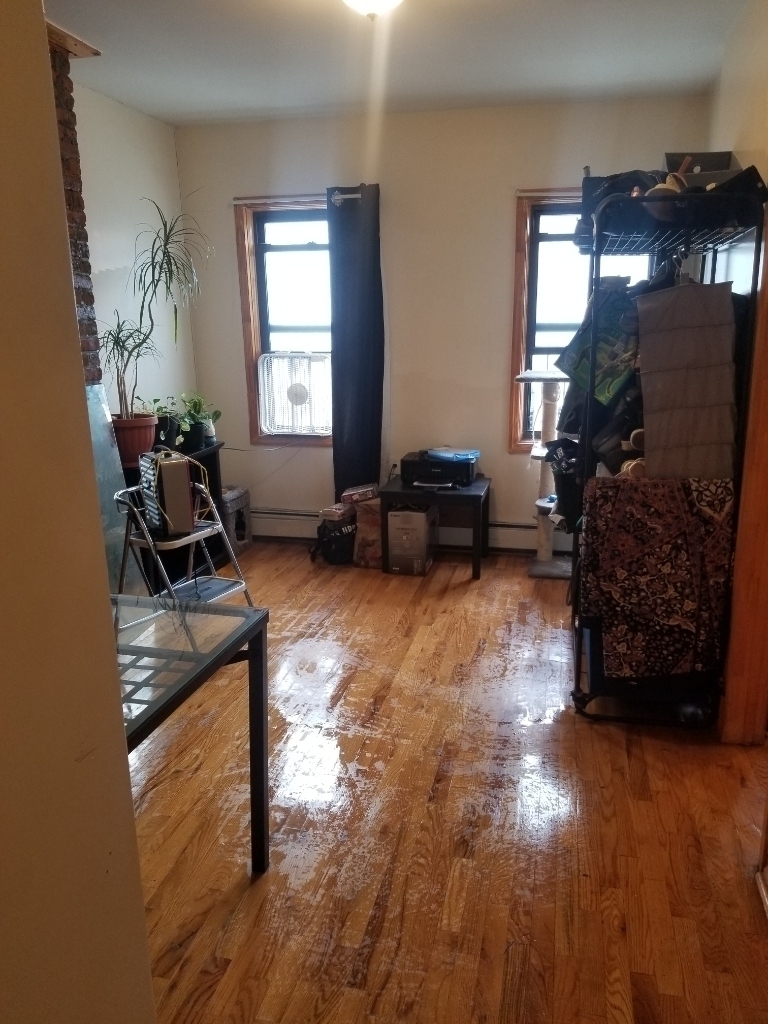 1641 Pacific Street, Brooklyn, NY 11213 - Photo 8