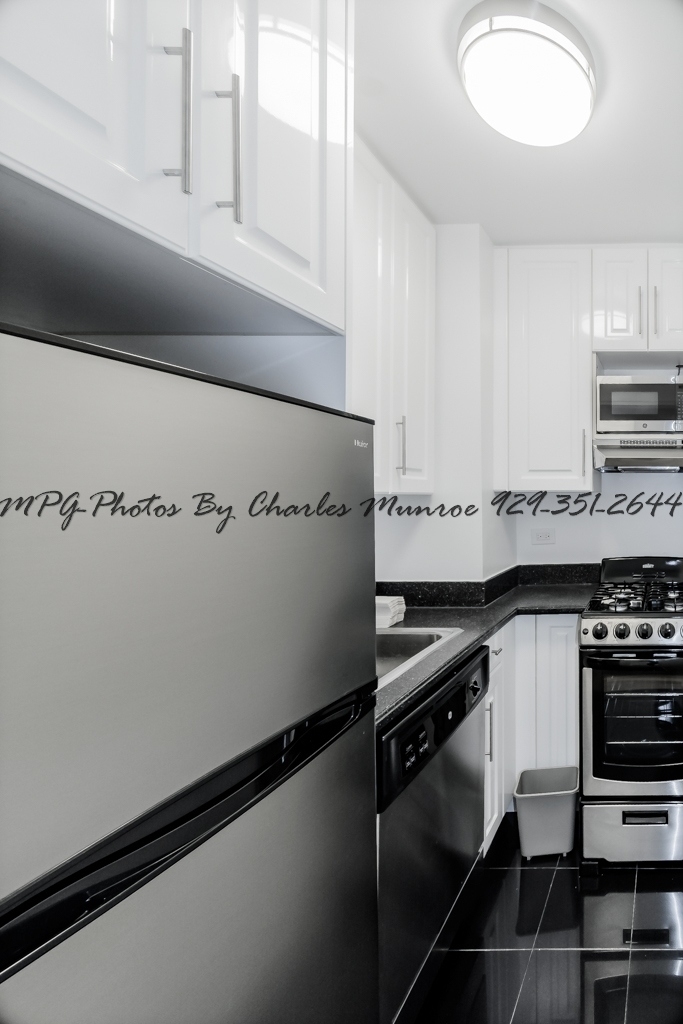 151 West 16th Street - Photo 2