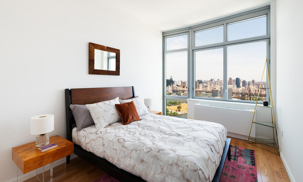 Long Island City King 1 bed - Photo 2