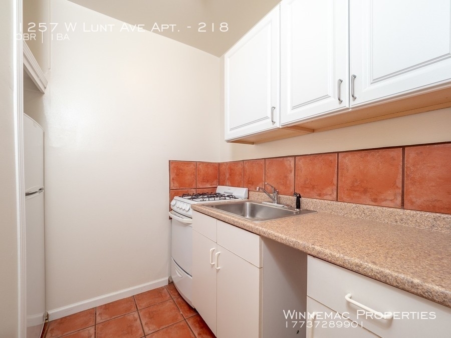 1257 W Lunt Ave Apt. - Photo 4