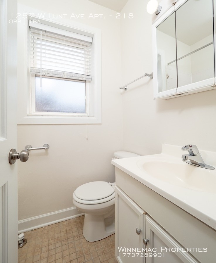 1257 W Lunt Ave Apt. - Photo 6