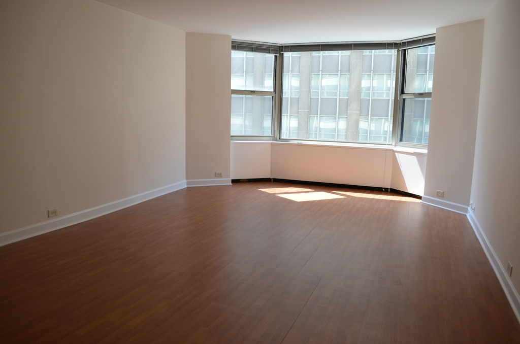 535 North Michigan Avenue - Photo 3