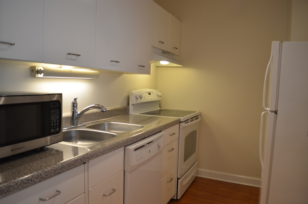 535 North Michigan Avenue - Photo 1