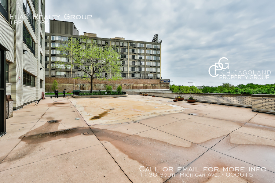 1130 South Michigan Ave. - Photo 156