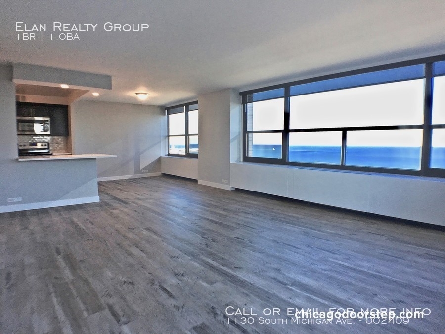 1130 South Michigan Ave. - Photo 47