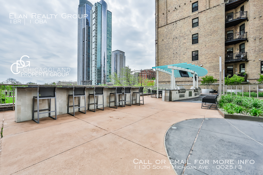 1130 South Michigan Ave. - Photo 153