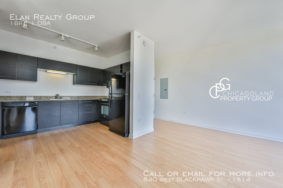 840 West Blackhawk St. - Photo 169