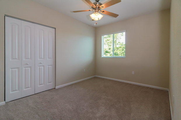 5607 Caranday Palm Drive - Photo 11