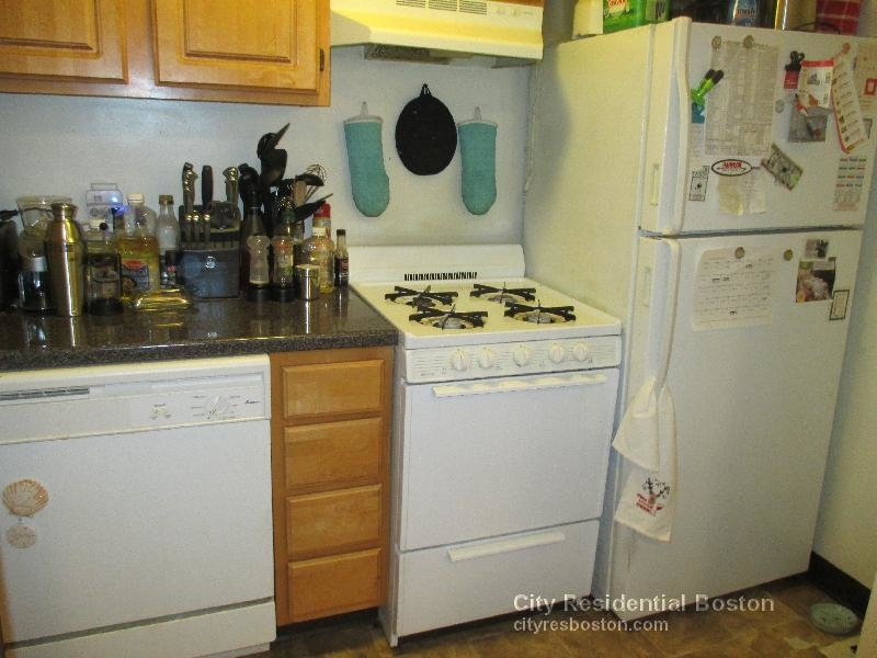 385 Dorchester St. - Photo 13