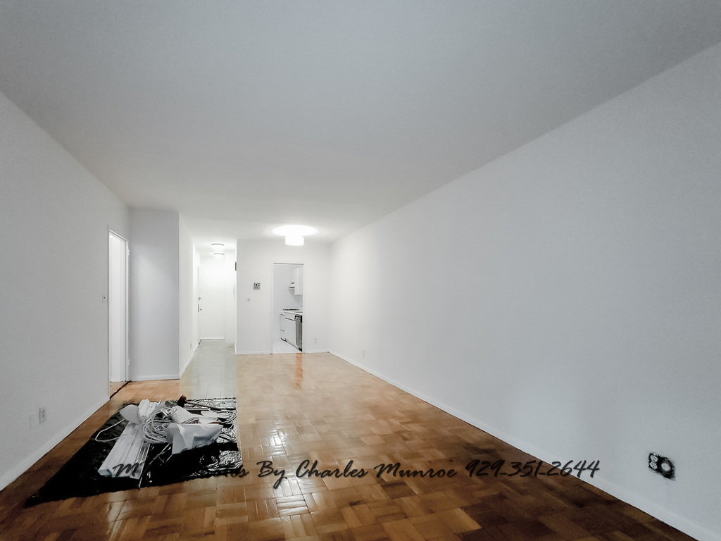 117 East 71st Street - Photo 1