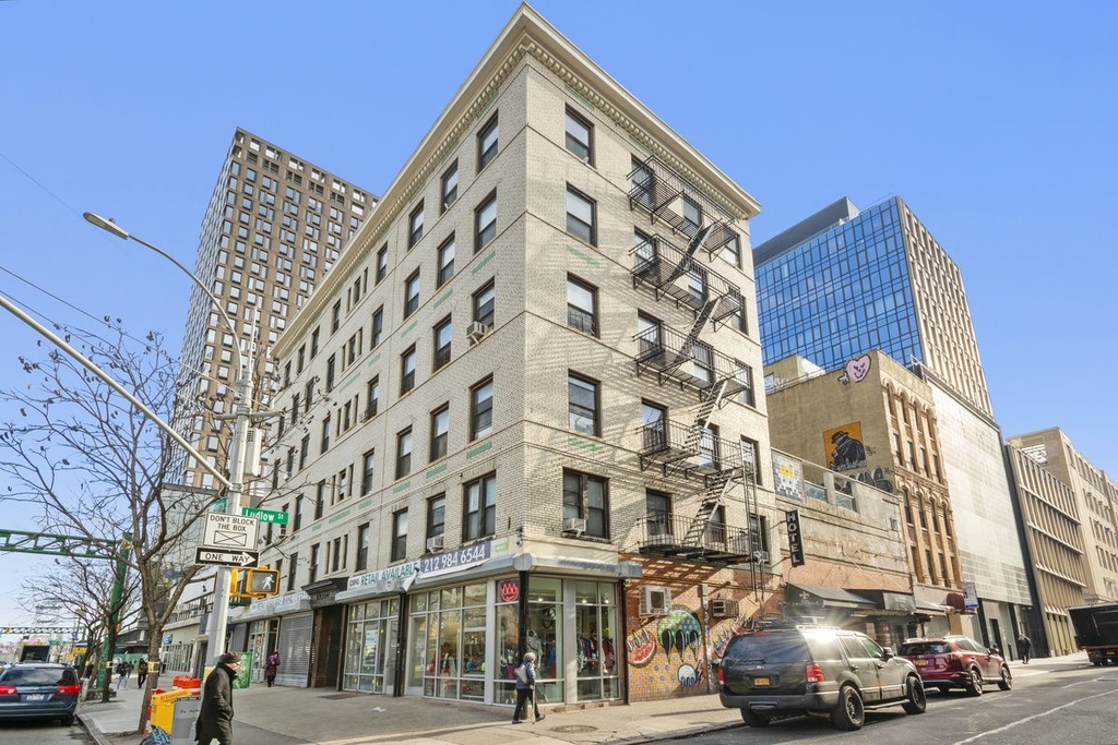 101 Delancey Street - Photo 7