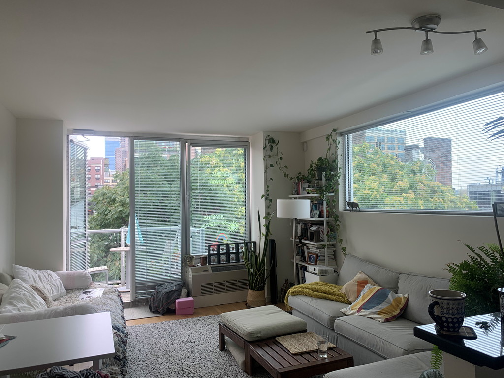 540 West 50th Street - Photo 4