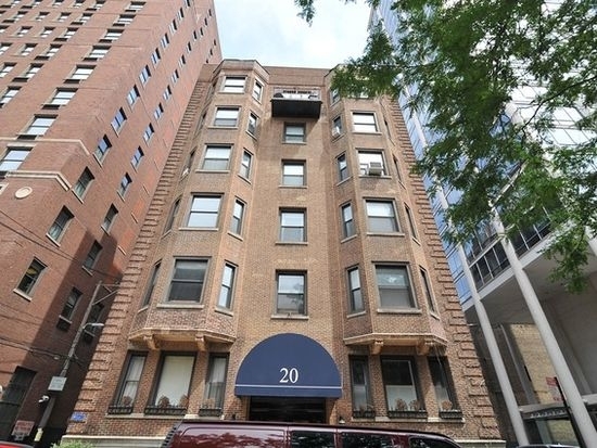 20 E Goethe St. - Photo 0