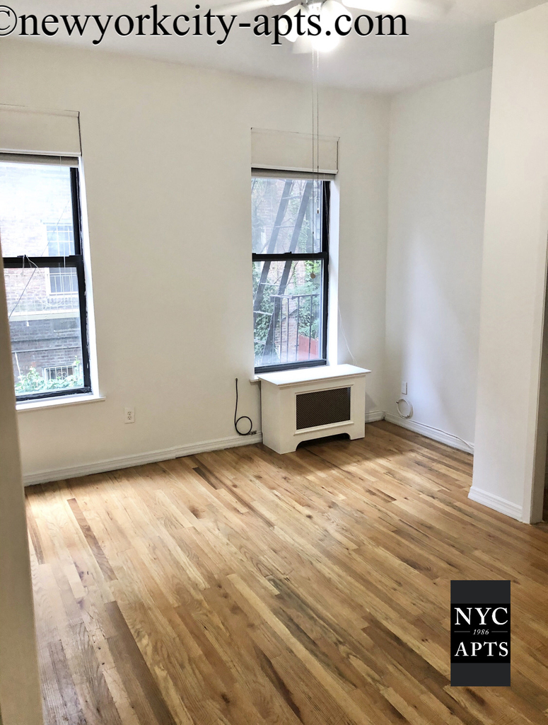 328 East 55th Street - Photo 3