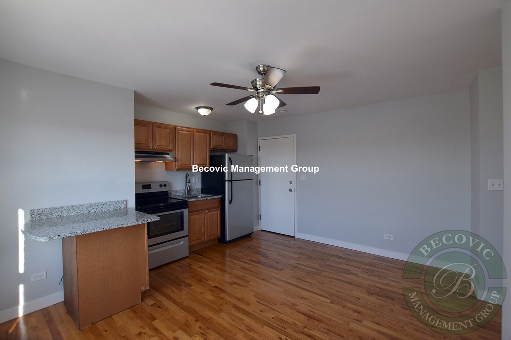 7450 North Greenview Ave. - Photo 1