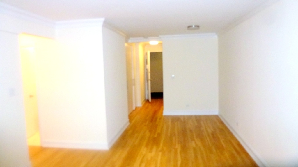 305 west 13th street - Photo 5