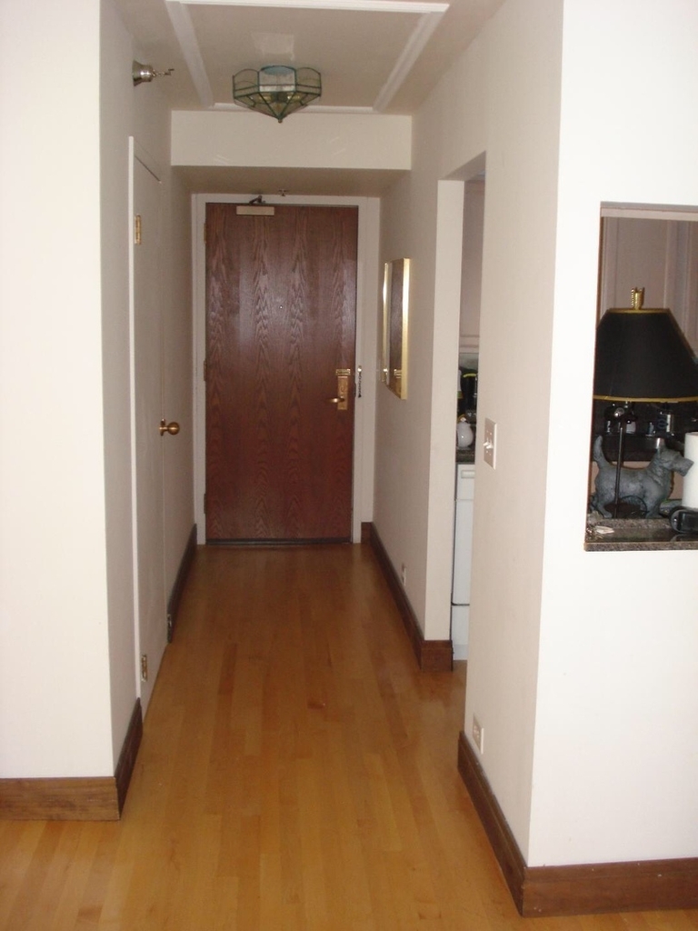 401 East Ontario Street - Photo 2