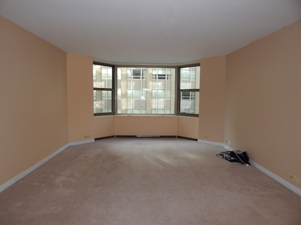 535 North Michigan Avenue - Photo 4