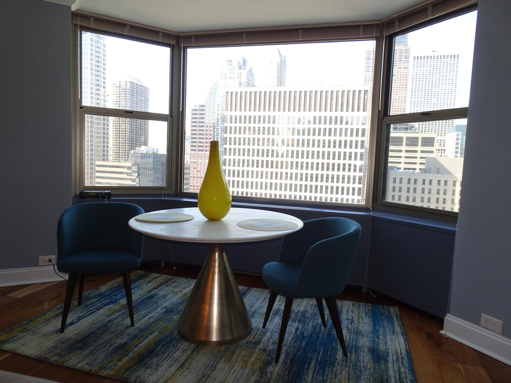 535 North Michigan Avenue - Photo 11