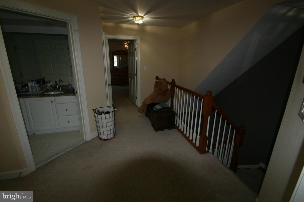 10513 Sunny Brooke Lane - Photo 31