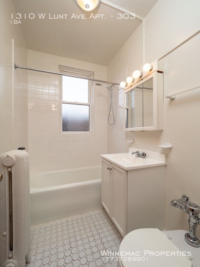 1310 W Lunt Ave Apt. - Photo 8