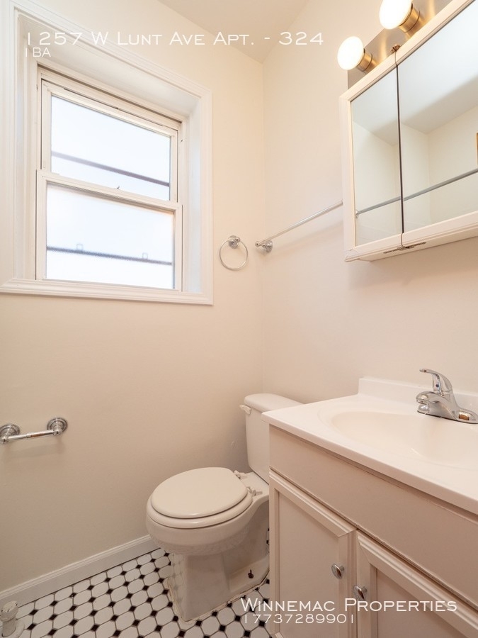 1257 W Lunt Ave Apt. - Photo 7