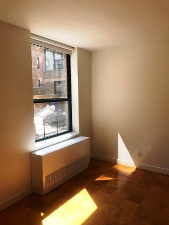 247 w 87th Street - Photo 4