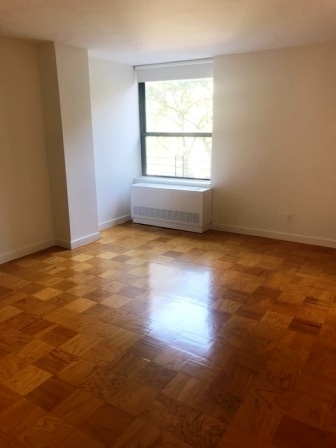 247 w 87th Street - Photo 1