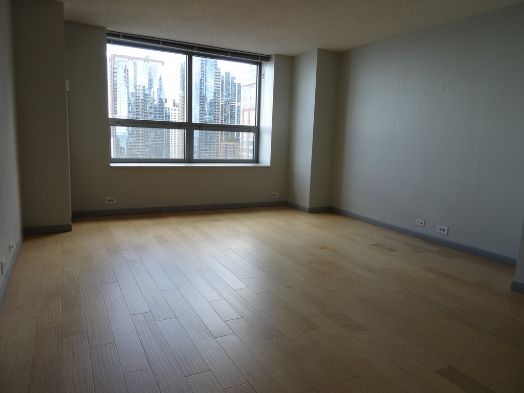 474 North Lake Shore Drive - Photo 9