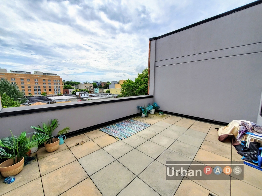 1705 Dean Street - Photo 1