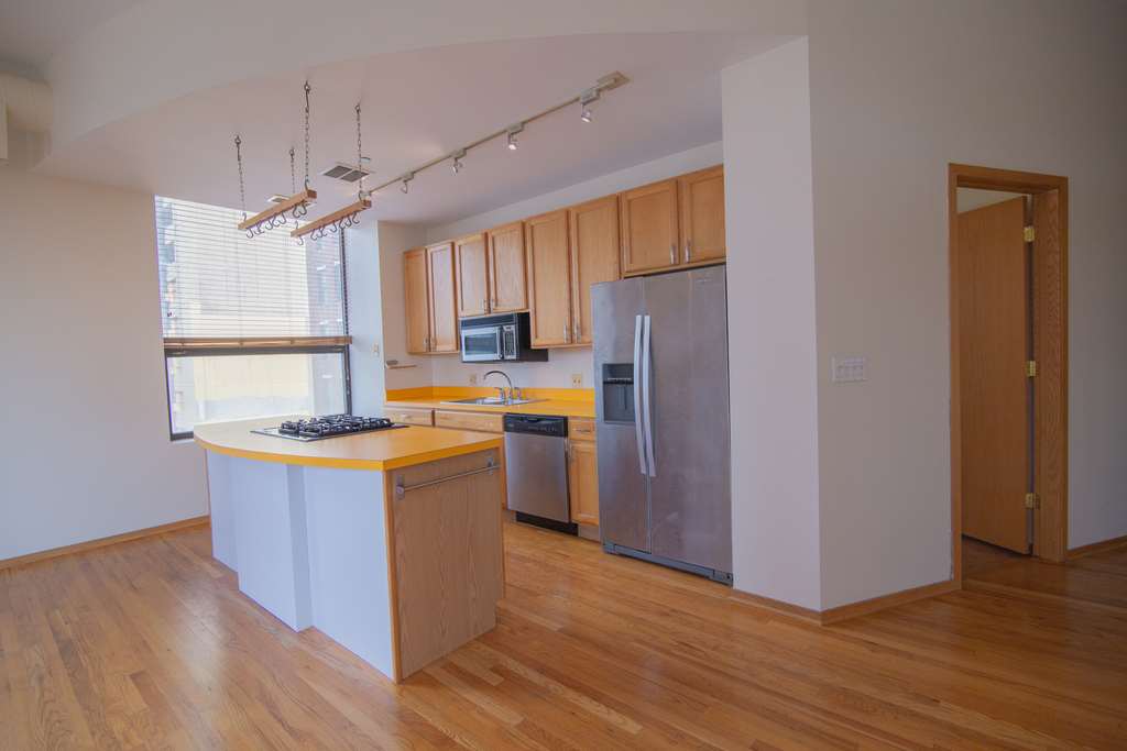 910 South Michigan Avenue - Photo 4