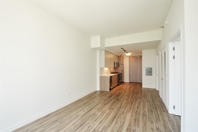 1407 South Michigan Avenue - Photo 9