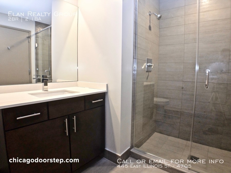 445 East Illinois St. - Photo 42