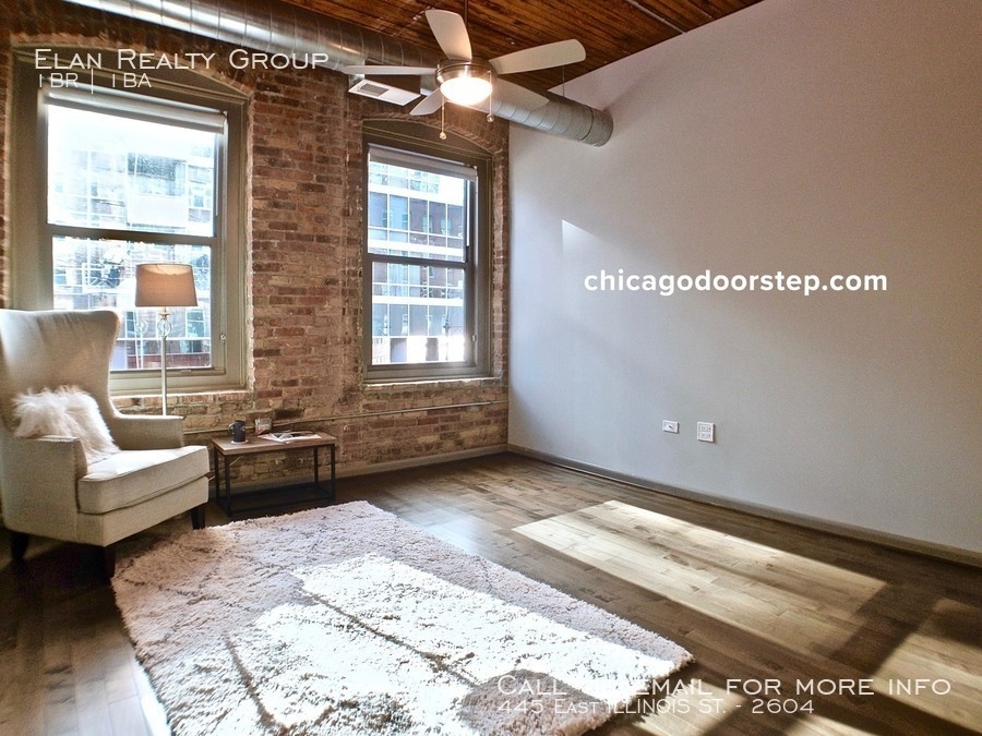 445 East Illinois St. - Photo 9